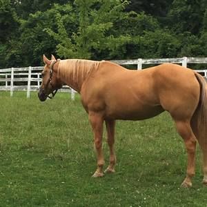 Meet your Posher, Lori